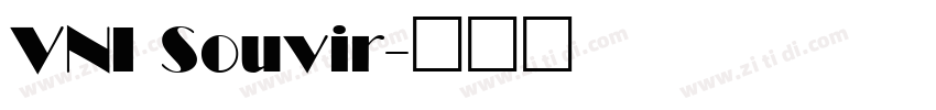 VNI Souvir字体转换